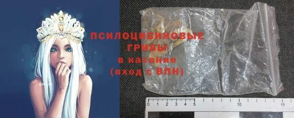 молекула духа Михайловск
