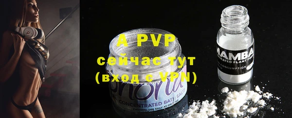 хмурый Михайлов