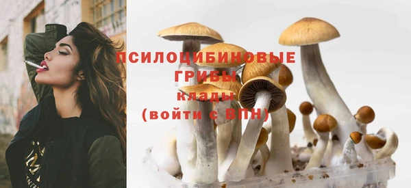 хмурый Михайлов