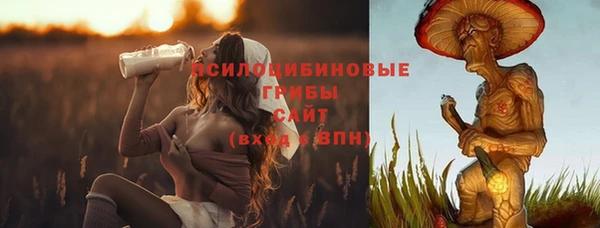 хмурый Михайлов