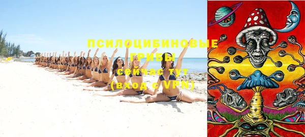 хмурый Михайлов