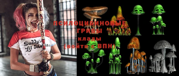 PSILOCYBIN Михайловка