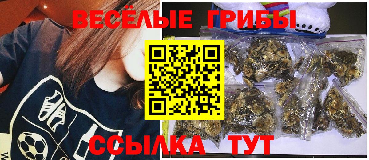 LSD-25  ГАШ  Чусовой  КОКАИН  Вход с VPN  Бошки Шишки  Меф МЯУ МЯУ кристаллы  МДМА 